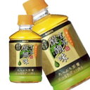 キリン ホット生茶 醍醐味 280ml×24本
