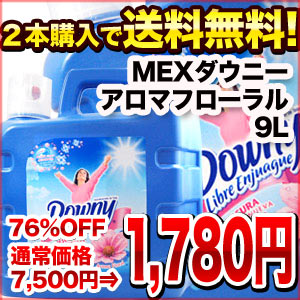 【1月15日出荷開始】メキシカンダウニー9000ml2本購入で送料無料！北海道・沖縄・離島