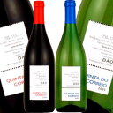キンタ・ド・コーレイヨ ダン ワイン2本セット[赤1本、白1本]北海道・沖縄・離島は送料無料の対象外です。【7月20日出荷開始】【送料無料】