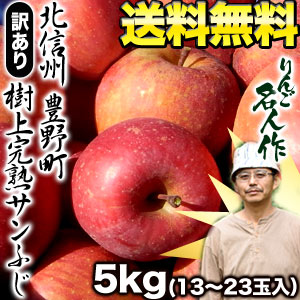 北信州産 豊野町の樹上完熟サンふじ 5kg［13〜23玉］佐川常温便でお届け1箱［5kg］1配送でお届け北海道・沖縄・離島は送料無料の対象外です