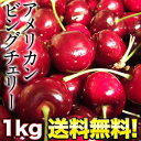 [予約販売] アメリカンビングチェリー 約1kg8箱まで1配送でお届け佐川クール[冷蔵]便でお届け北海道・沖縄・離島は送料無料の対象外【送料無料】