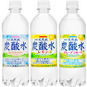 サンガリア 天然水炭酸水 500mlPET×24本×2ケース...