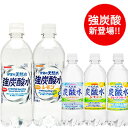 サンガリア 天然水炭酸水 500mlPET×24本×2ケース...