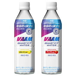 明治 VAAM[バーム ヴァーム vaam] ヴァームスマートフィットウォーター <strong>500ml</strong>PET×<strong>48本</strong>[24本×2ケース] 選り取り北海道・沖縄・離島は送料無料対象外【2～3営業日以内に出荷】【送料無料】スポドリ スポーツドリンク 保存 <strong>水</strong>分補給 運動 アミノ酸