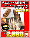 チョコレートお得セットその1［賞味期限：2011年3月31日］同一商品のみ10セットまで1配送でお届けします北海道・沖縄・離島は送料無料の対象外です