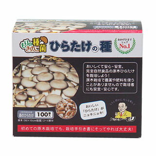 q^PyЂ炽100z [q^P/Ђ炽/q^P͔|/Ђ炽͔|/] [15܂ł̒ły] {ňԔĂI