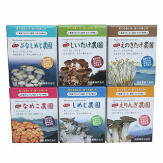 きのこ栽培キット  [キノコ栽培/きのこ栽培] [平日14時までの注文であす楽] 自由研究や子供の食育に！