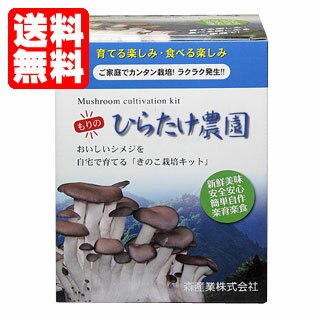 yzq^P͔|LbgŷЂ炽_z [߂͔|/VW͔|/Ђ炽͔|/q^P͔|/͔̂|] [15܂ł̒ły] Rq̐HɁI