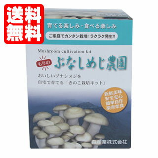 【送料無料】きのこ 栽培 ブナシメジ ブナシメジ栽培キット【もりのぶなしめじ農園】自由研究や子供の食育に！【送料無料】