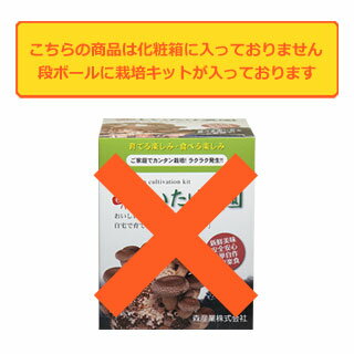 【送料無料】しいたけ栽培キット等のキノコ栽培キット【きのこ農園2個チョイス（化粧箱なし）】 [キノコ栽培/きのこ栽培/しいたけ栽培/きくらげ栽培/エリンギ栽培/ひらたけ栽培] 自由研究や子供の食育に！