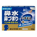 【第2類医薬品】花粉/漢方/子供/薬漢元ハヤオキ
