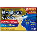 【第2類医薬品】【セルフメディケーション税制対象】