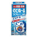 【第3類医薬品】《小林製薬》 のどぬ〜るスプレーE