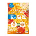 《サラヤ》 匠の塩飴 マンゴー味 100g