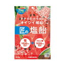 《サラヤ》 匠の塩飴 スイカ味 100g