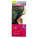 《スティーブンノル》カラークチュール ヘアカラー 4Nダークブラウン 【コーセー】