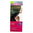 《スティーブンノル》カラークチュール ヘアカラー 5Yディ...