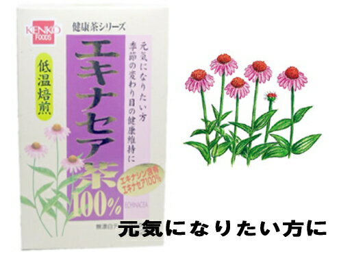 【お盆休まず営業】株式会社杉食　健康フーズ　エキナセア茶1.5g×20包×3個【ドラッグピュア】