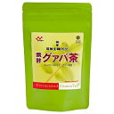 【ブラックフライデー楽天ポイント6倍相当】株式会社健食沖縄醗酵グァバ茶(大)2g×60包(この商品は沖縄直送につき代引き不可です)【ドラッグピュア楽天市場店】【RCP】