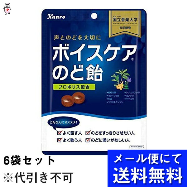 【飛脚メール便にて送料無料でお届け 代引き不可】【☆】カンロ株式会社　ボイスケアのど飴　70g入×6袋セット［個包装タイプ］＜音楽大学との共同開発＞(メール便のお届けは発送から10日前後が目安です)【ドラッグピュア楽天市場店】【RCP】