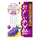 【火曜日・5のつく日限定 楽天ポイント8倍相当!!】【送料手数料無料】日進医療器株式会社おいしいのど飴ブルーベリー 70g×80個セット【ドラッグピュア楽天市場店】