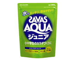 ΥŤˡ20%OFF!!ۥХ(savas)ץƥ Х˥H800gХåCA1016