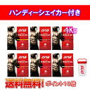 ★ハンディーシェイカー付★DNSプロテインホエイ100(1k...