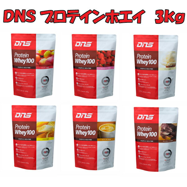 【送料無料!!】DNSプロテインホエイ100(3kg)