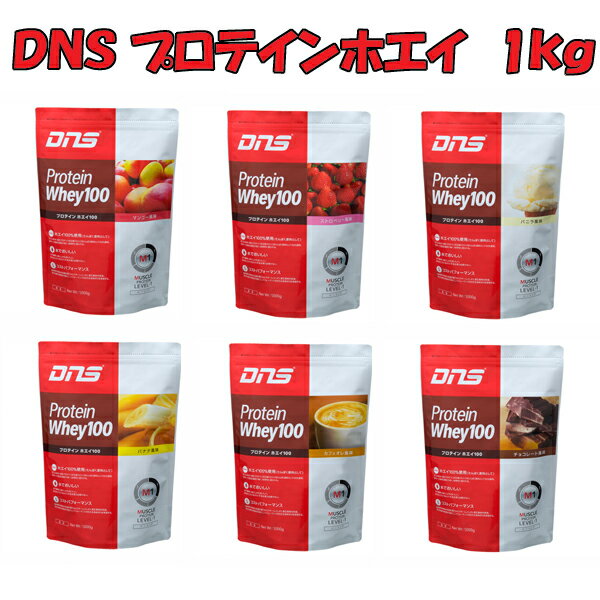 【送料無料!!】DNSプロテインホエイ100(1Kg)