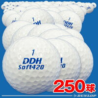 【ダンロップ】練習用ゴルフボール(レンジボール) DDHソフト420 250球入り【ソフトフィーリングツーピース】【打ちっぱなし練習場使用ボール】の画像