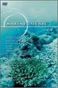 【アウトレット品】MARINE&MUSIC VOL.4「珊瑚...