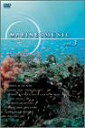 【アウトレット品】MARINE&MUSIC VOL.3「マイ...