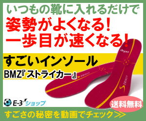 BMZカルパワースマート『ストライカー』薄型モデル【送料無料】...:e-3shop:10000025