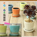 貫入加工・ポップ&JUNK風 陶器鉢Mサイズ【植木