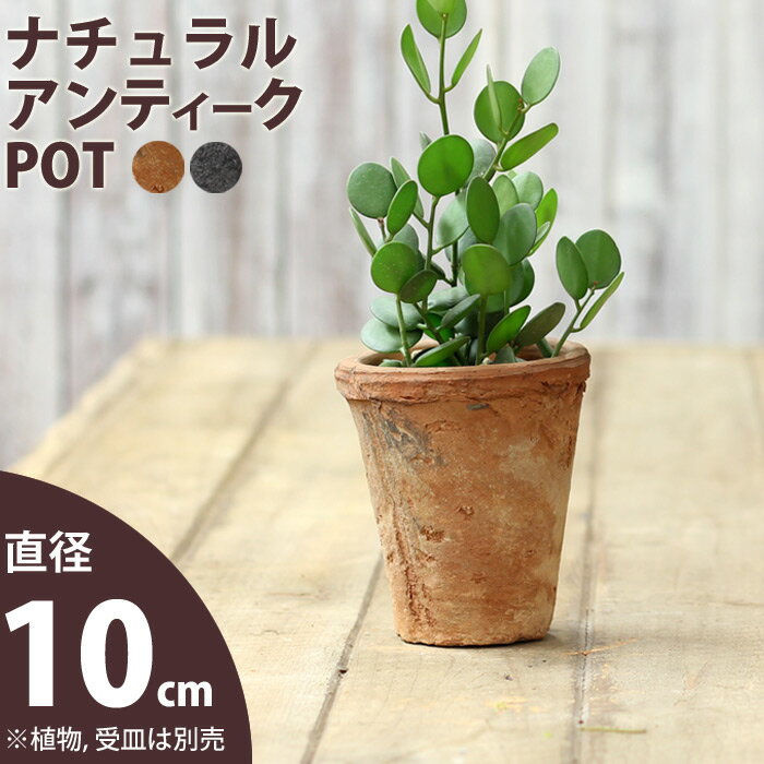 モスポット（直径10cm/高さ12cm)【<strong>おしゃれ</strong>な植木<strong>鉢</strong>】