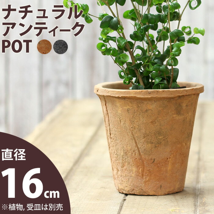 ナチュラル・アンティーク風 テラコッタ植木鉢直径16cm×高さ14.5cm【モスポット ※…...:e-8783:10002099