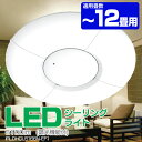 LEDシーリングライト　調光機能搭載！IRISOHYAMA　LEDシーリングライト　IRLDHCL5166N-EF1　(5100lm/〜12畳対応)ECOLUXエコルクスシーリングライト