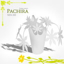 48̵ָ124 959ޤǡ̵ۥɥ饤Pachira ѥNSN-202NGLۡTC