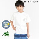 涼TOUCHロゴT tシャツ キッズ 半袖 男の子 ロゴ 子...
