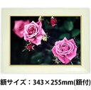 壁掛けアート アートパネル 風景画 フォトグラファー y2-hiro 写真 A4 額縁付き バラ 薔薇 三輪 植物 緑 赤 自然 春 夏 母の日 花 ギフト インテリア雑貨 キャンバスジグレー版画