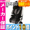 【16時まであす楽対応】【代引・送料無料】ジョイト