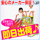 かんたんおりたたみワンワンとうーたん♪ロングスロープジム いないいないばあ(4311)遊具 すべり台 ジャングルジム 折りたたみ 室内