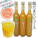 【クーポン利用で20%オフ】【愛媛県産柑橘使用】あけはまシー...