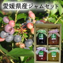 (有)高山ガーデン 愛媛県産ジャム4点セット ブルーベリー、いちご、いちじく、ゆず