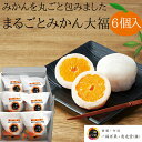 【クーポン利用で20%オフ】【愛媛の人気おとりよせ】【愛媛県...