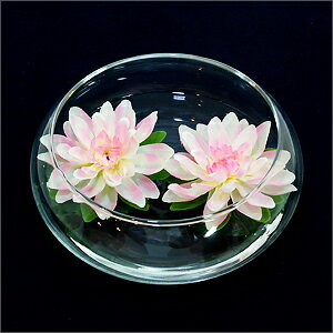 Buddhist Flower アクアロータス mini