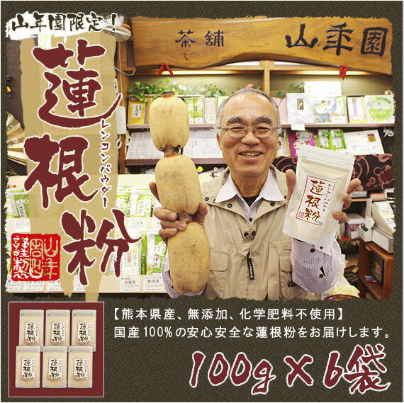 【国産100%】【無添加】れんこんパウダー 蓮根粉 100g×6袋セット 送料無料 熊本県…...:e-cha:10002131