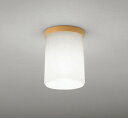 OL011254ND オーデリック 小型シーリングライト LED(昼白色)