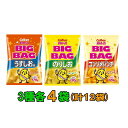   ( ) Jr[@|eg`bvX@BIGBAG(rbNErbO)@170g@3e4܃Zbg(v12)@Ê肵ER\p` َq  XibNَq 