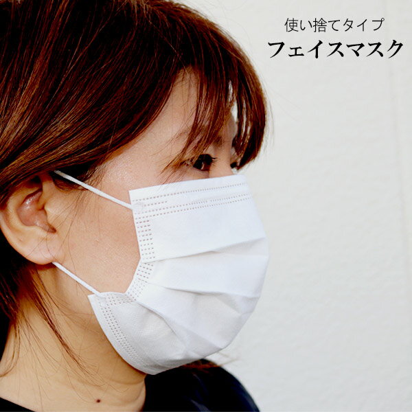 【箱無し】E 三層マスク【予約販売】 mask 【一袋50枚入】マスク 使い捨て レギュラーサイズ 送料無料 フェイスマスク